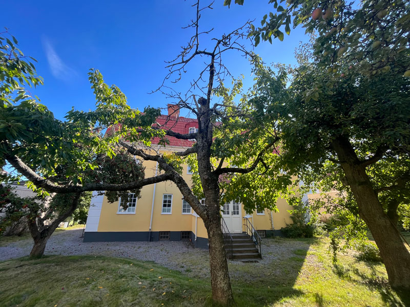 GulaHuset_tradgard